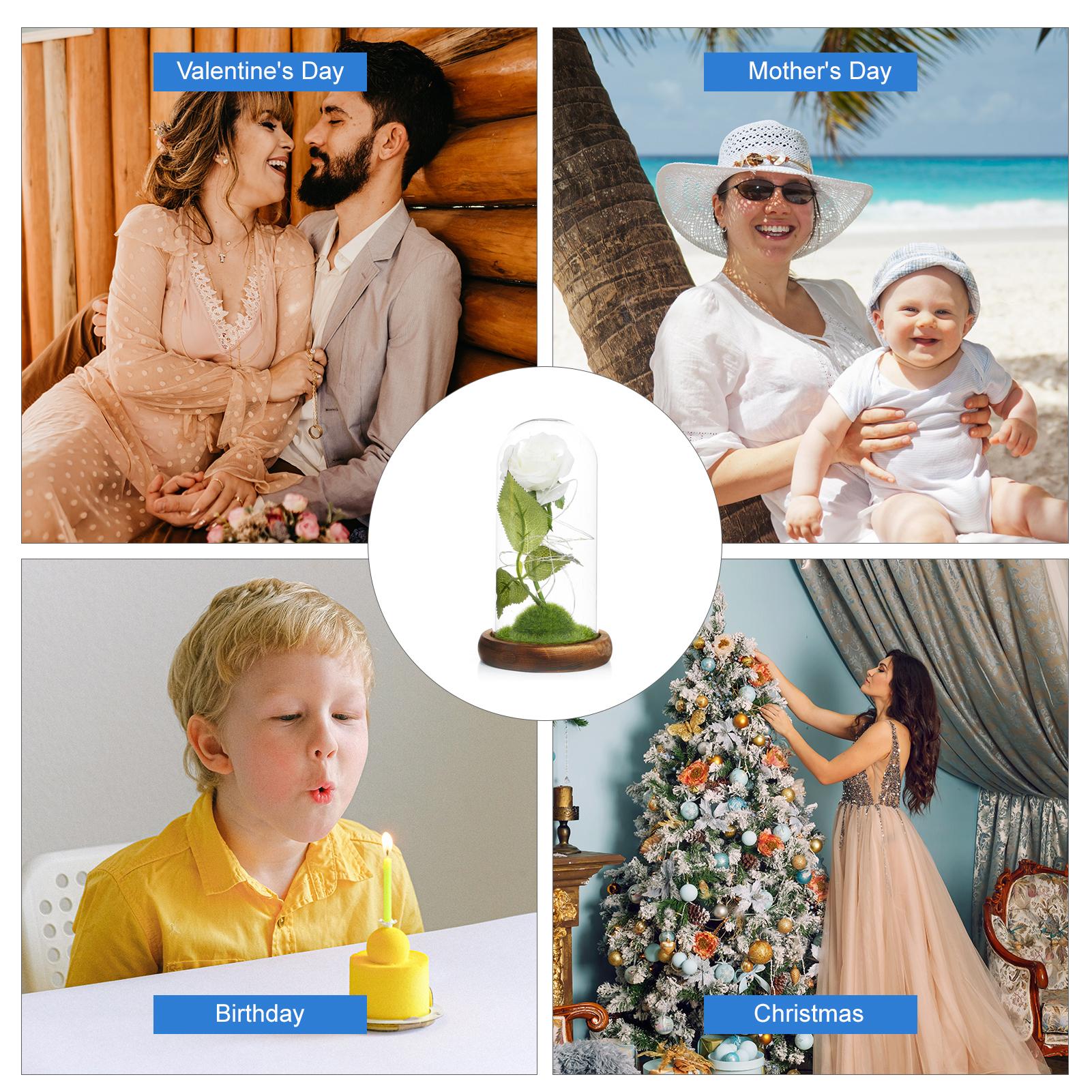 Hoa hồng giả dễ thương trong lồng kính, có đèn LED, làm quà tặng, trang trí