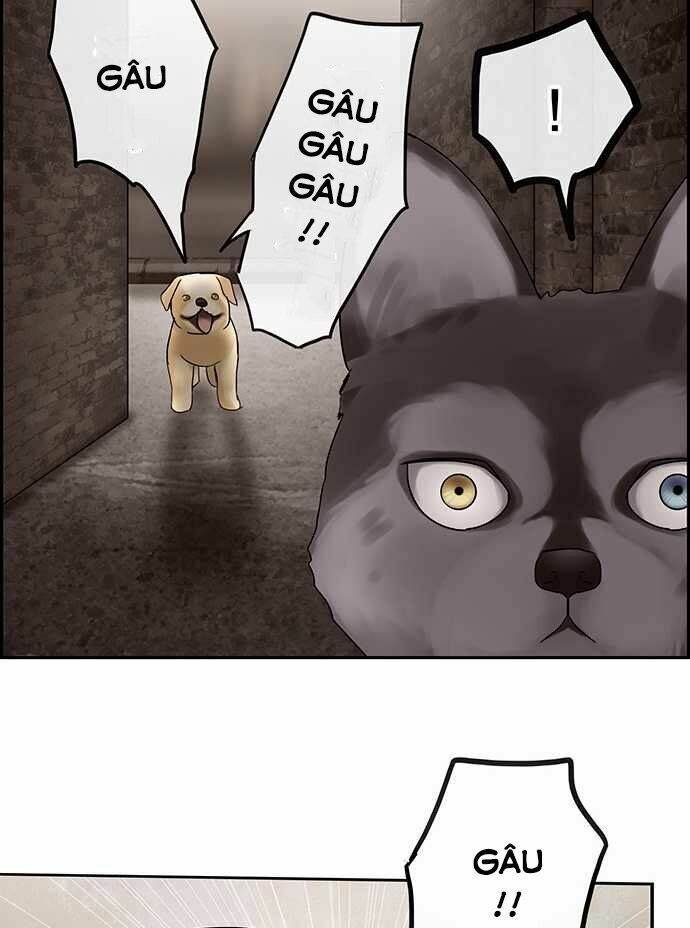 nụ hôn nguyền rủa chapter 28 17