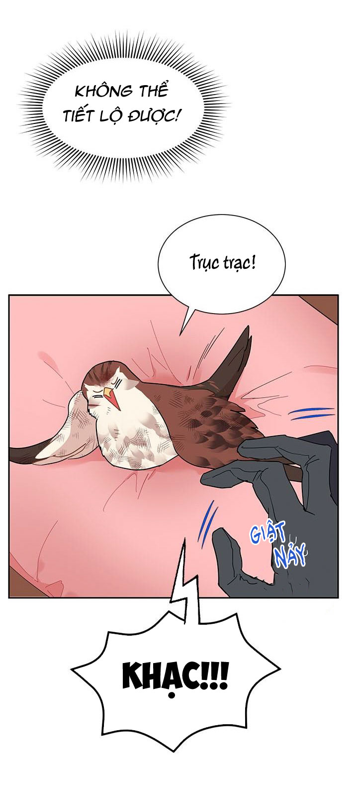 công chúa của loài chim chapter 12 39