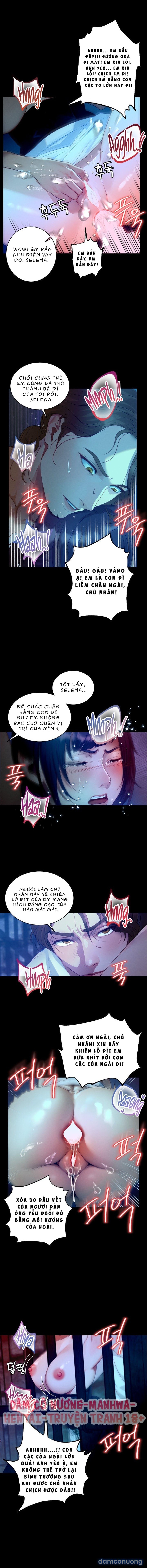 không nhân tình, có tình yêu chapter 14 8