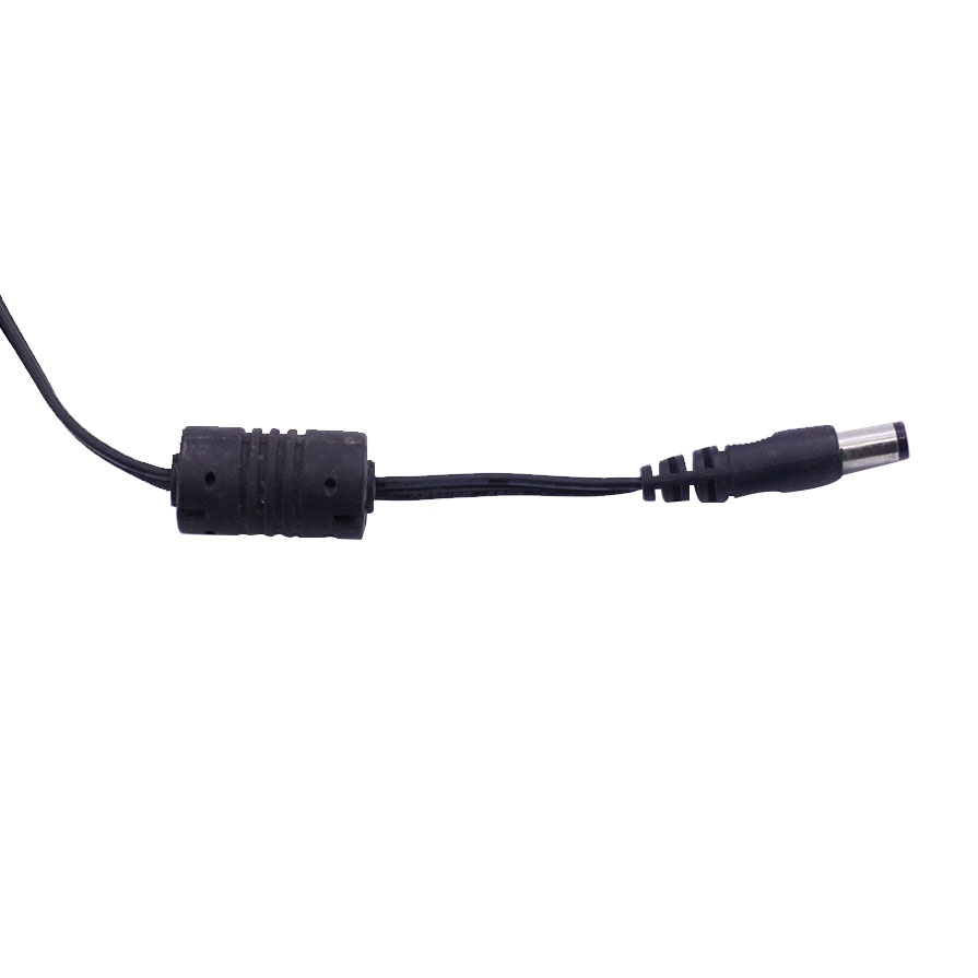 Nguồn Adapter 12V 1A 5.5*2.1 DSA-12PFA-09 FEU 120100 Dây Dài 1,5 Mét Có Cục Lọc Nhiễu