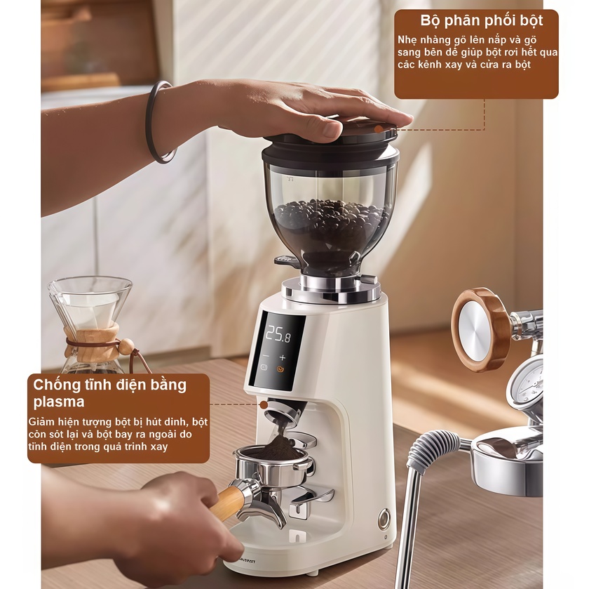 Máy xay cà phê chuyên nghiệp thương hiệu cao cấp Shardor BD-CG301 - Công suất 260W - Hàng nhập khẩu (BH 1 NĂM)