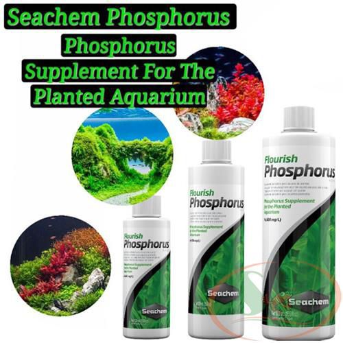 Phân nước Seachem Flourish Phosphorus 100ml, 250ml, 500ml bổ sung P+ phosphate po4 bể thủy sinh
