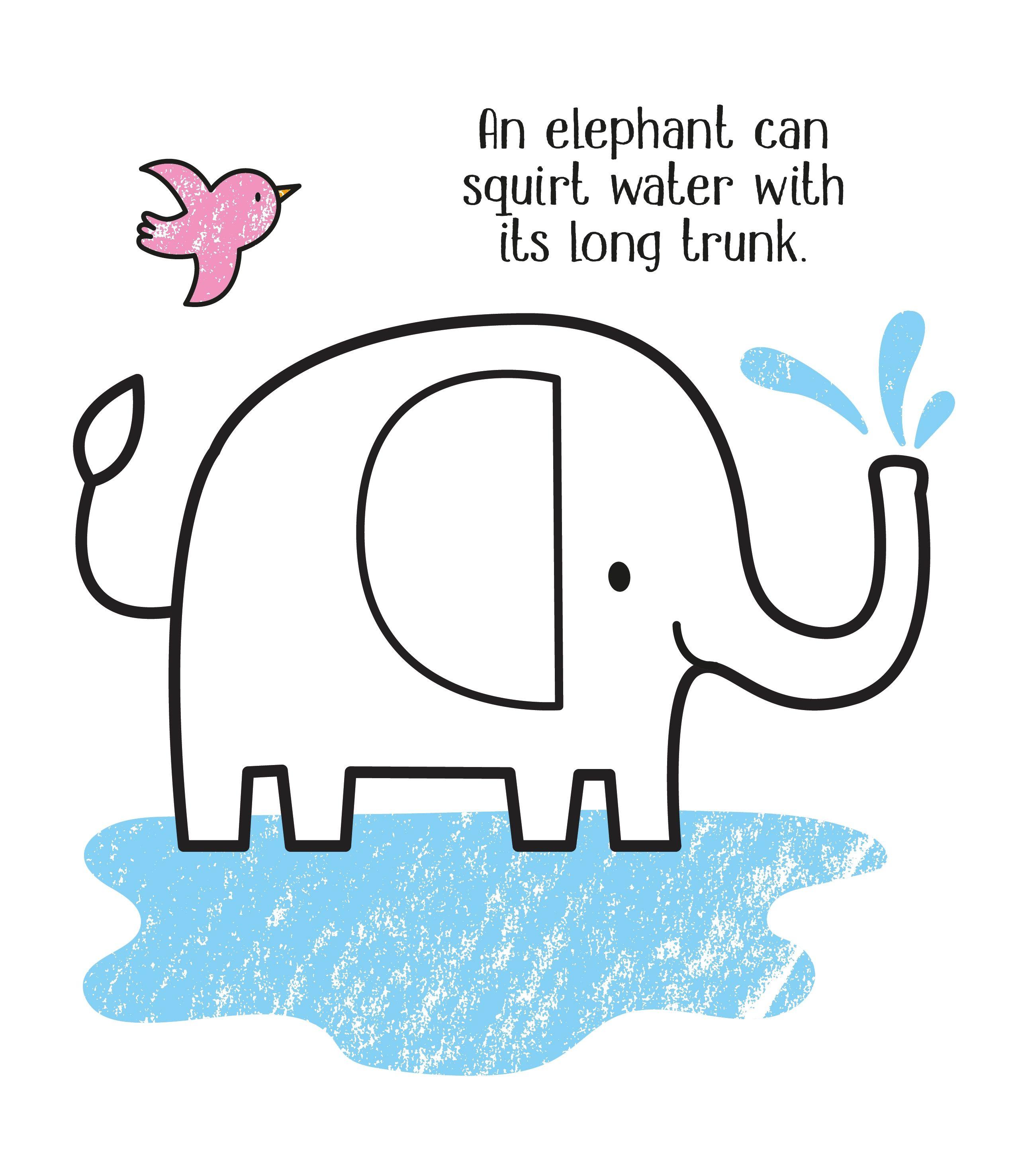 First Colouring Zoo Animals