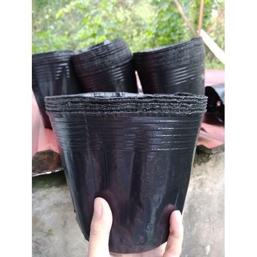 500GRAM TÚI BẦU TRÒN ƯƠM CÂY 12X10 -TÁI SỬ DỤNG NHIỀU LÂN