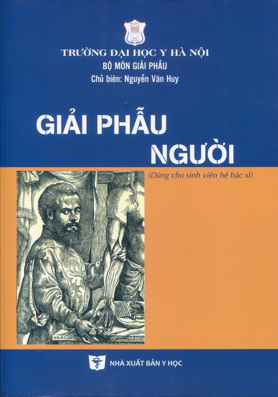 Sách - Giải phẫu người