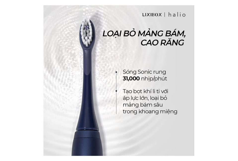 Combo Bàn Chải Điện Làm Trắng Răng Halio Sonic Whitening Electric Toothbrush PRO ( Rose &amp; Midnight Blue)