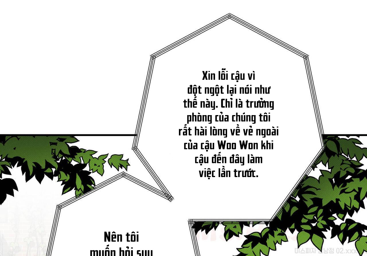 chàng giao pizza và gold palace chapter 40 34