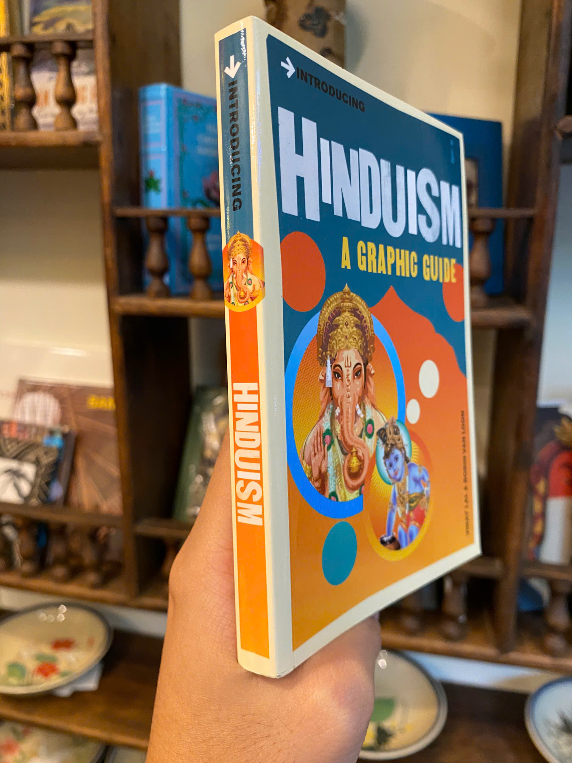 Sách - Introducing Hinduism A Graphic Guide by Vinay Lal - Religion/Nonfiction/Hinduism/English book