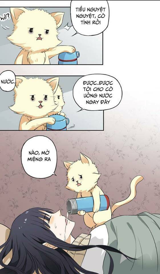 bạn trai tùy chỉnh chapter 5 10