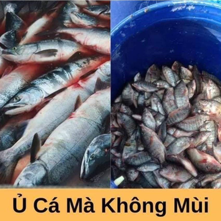 Combo 2sp đạm cá, đậu tương {  +  } Phân bón cung cấp dinh dưỡng tự nhiên cho hoa hồng, cây cảnh...