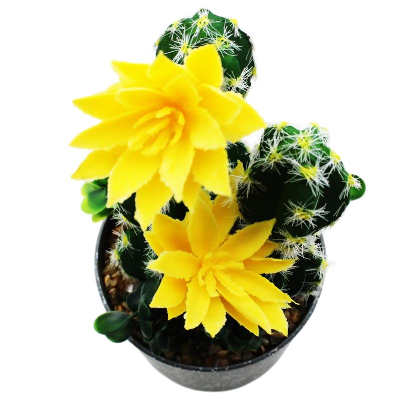 Chậu Cây Hoa Xương Rồng Nhựa Trang Trí - WanLongDa 770-8