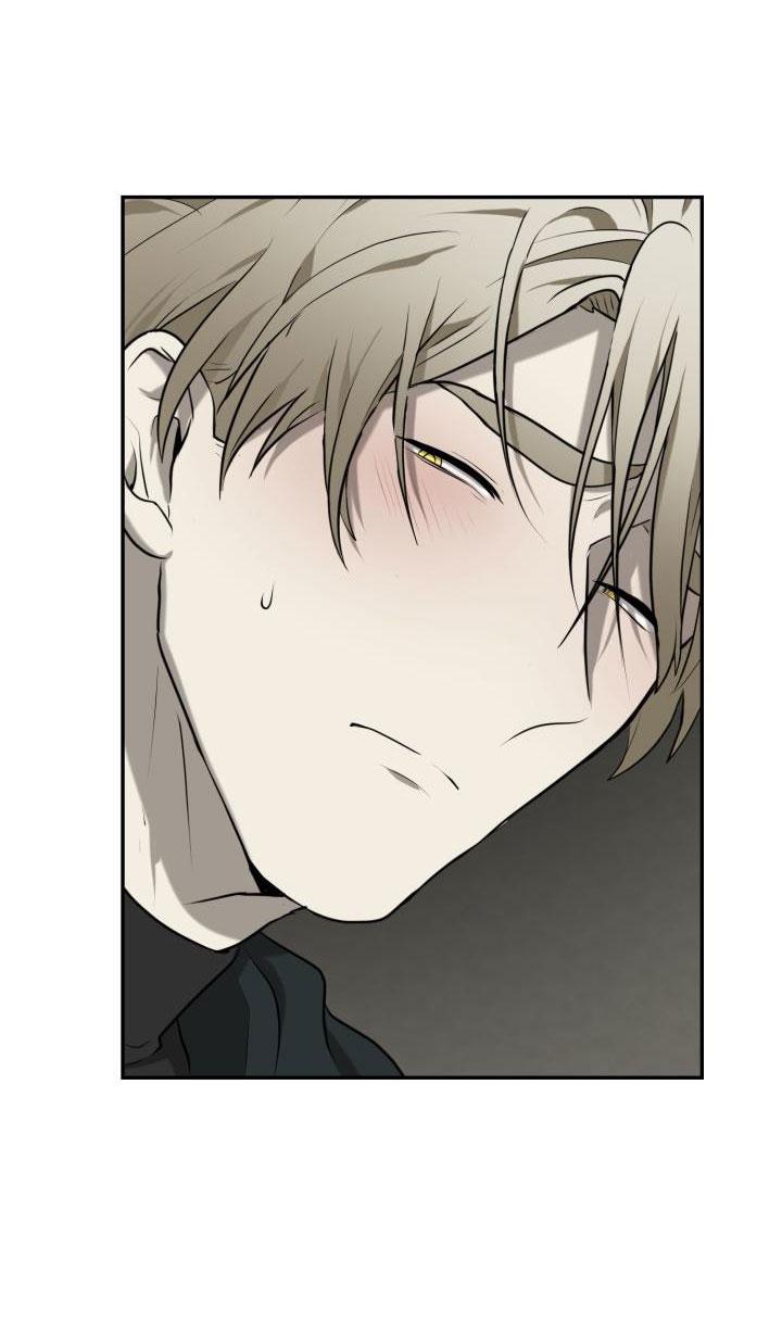 dưỡng thú cưng chapter 3 39