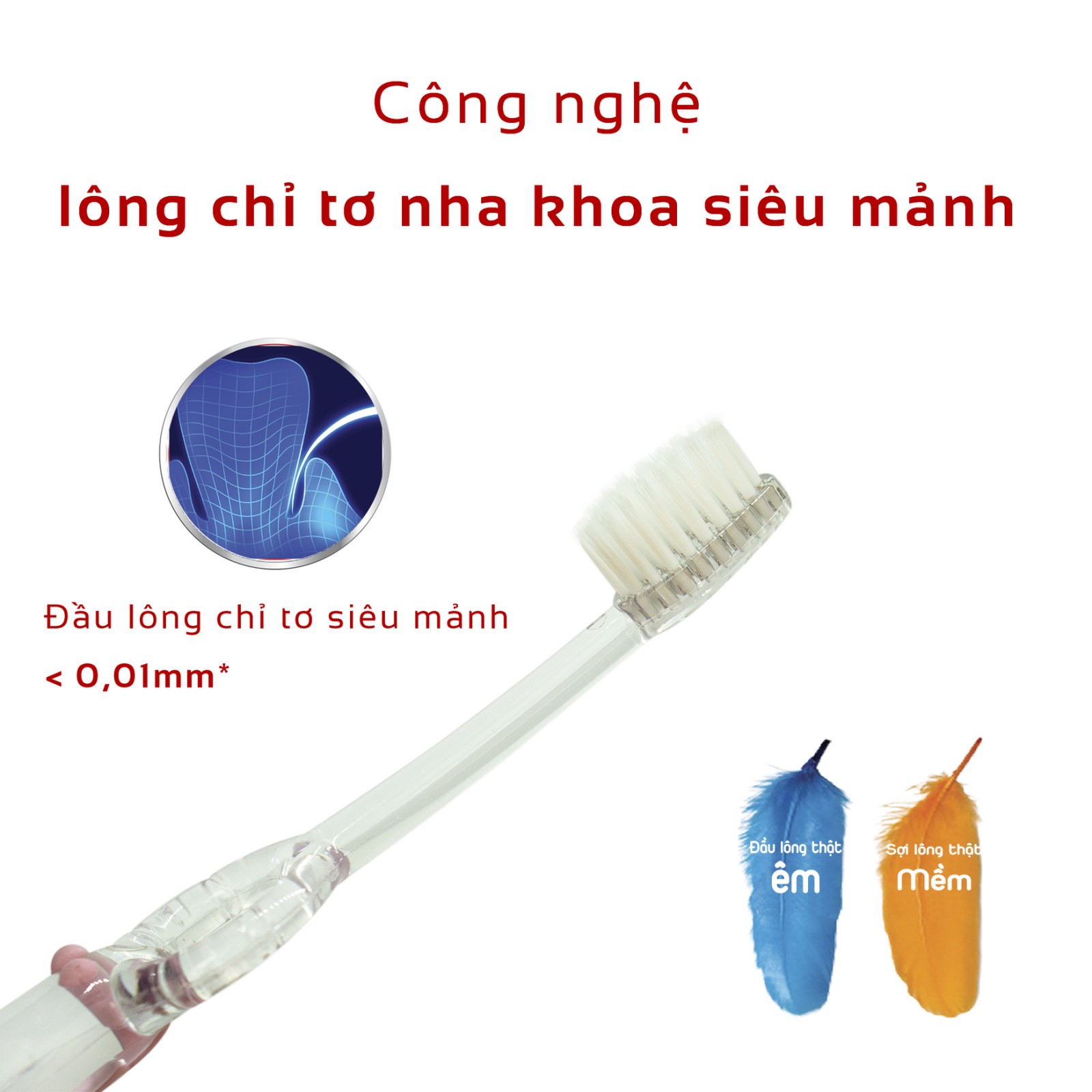 Bàn chải Lipzo Kids S1 Tặng 01 Kem đánh răng Lipzo Shiny Clean 19g