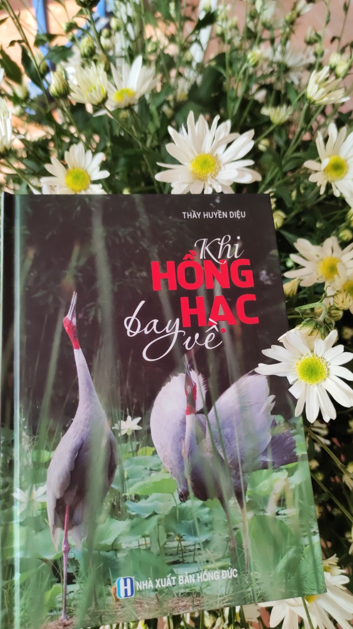 Khi Hồng Hạc Bay Về