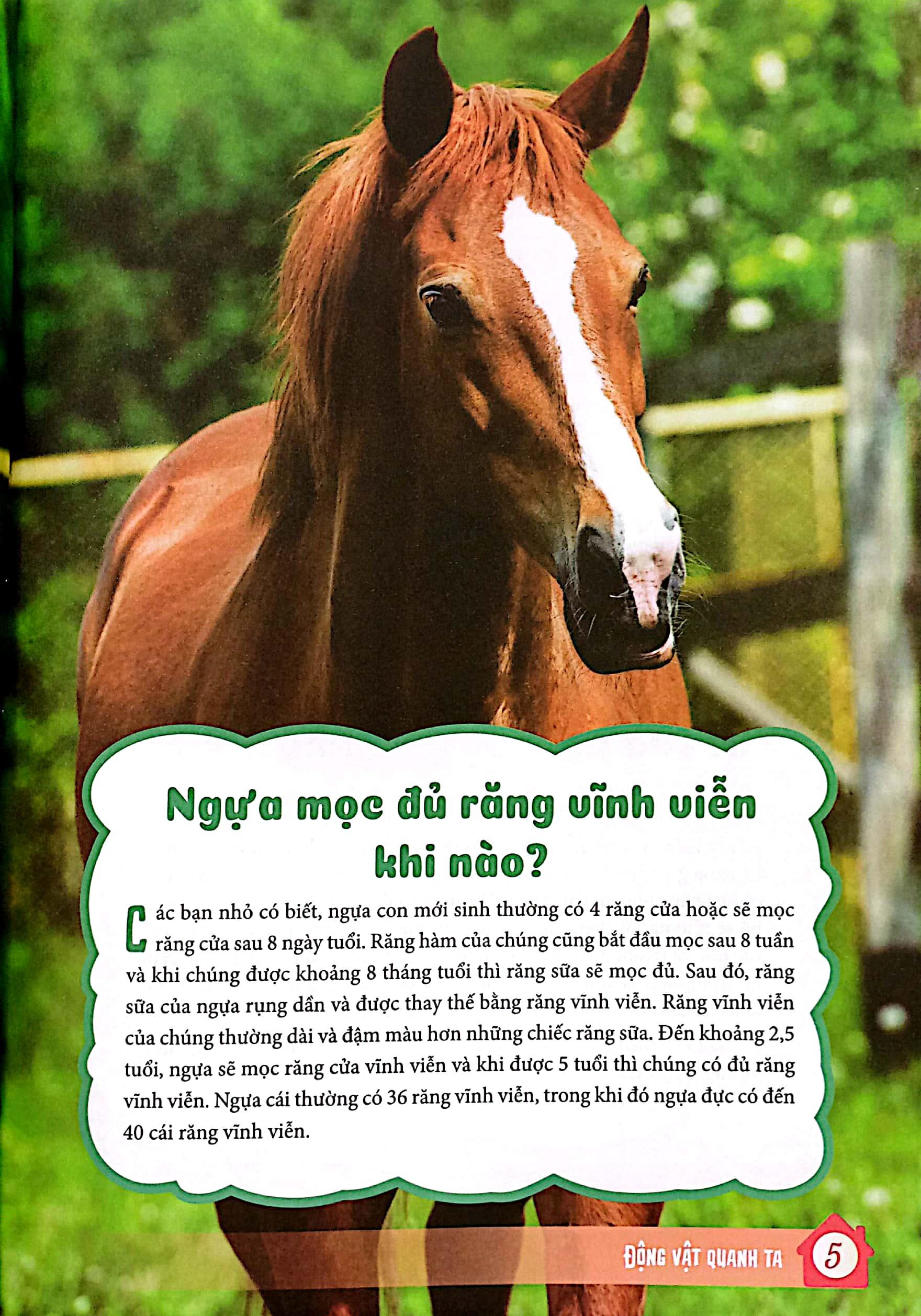 10 Vạn Câu Hỏi Vì Sao - Động Vật Quanh Ta