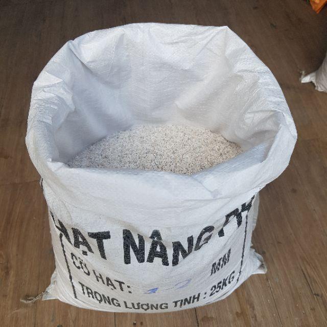 Hạt đá nâng pH XỬ LÝ NƯỚC và LỌC NƯỚC - 10kg