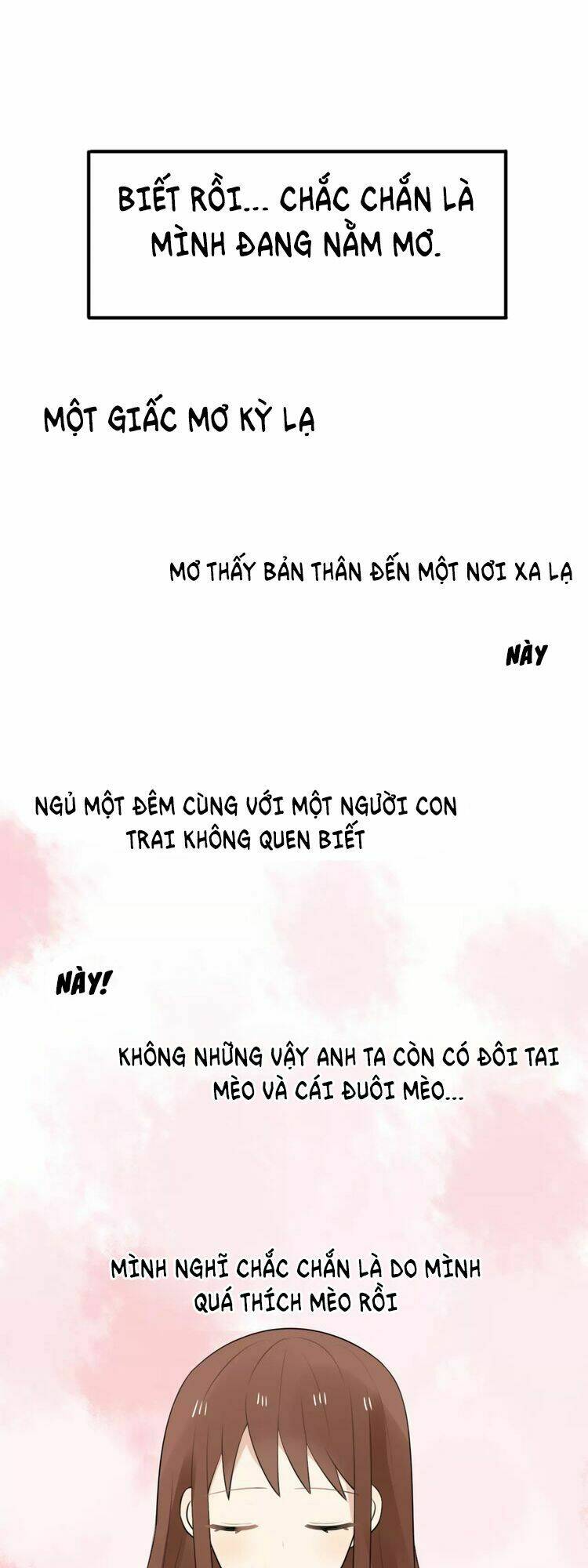 tiểu miêu và hắc diệu thạch chapter 1 33