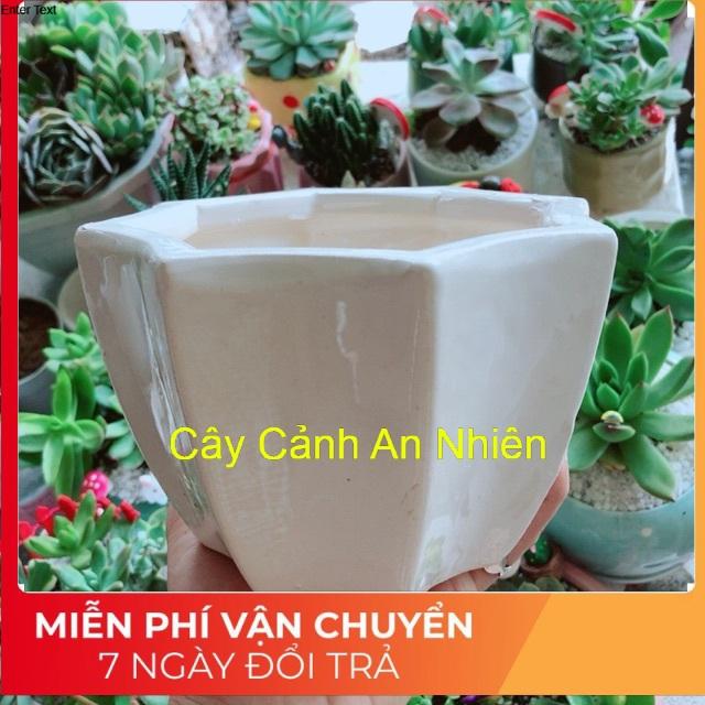 Chậu tráng men