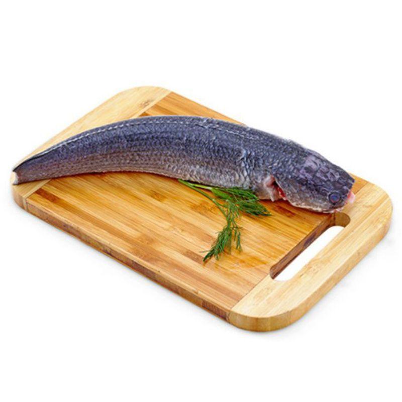 Cá Lóc Làm Sạch Nguyên Con từ 500-600g-2037210000009