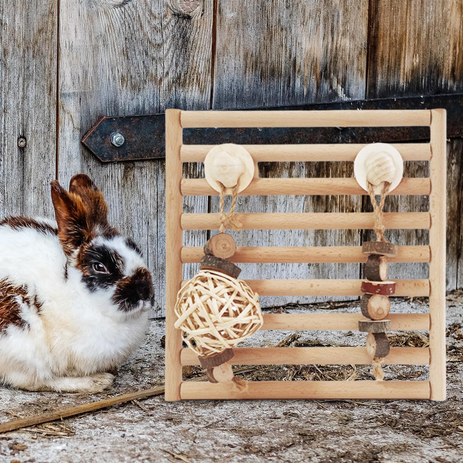 Rabbit Chew Toys, Wooden Doors, Exercise Biting Hamster Chew Toys for Bunny Small Animals