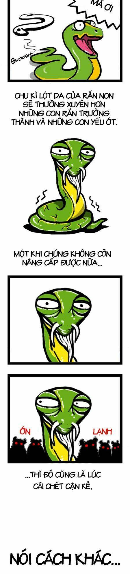 earth, human, and animal chapter 4 15