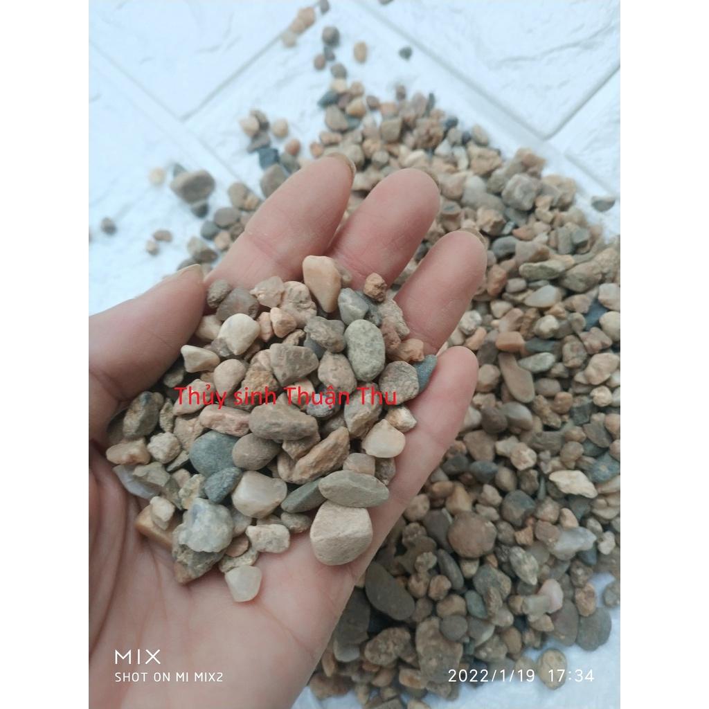 Sạn suối - sỏi suối trang trí bể cá, bể thủy sinh