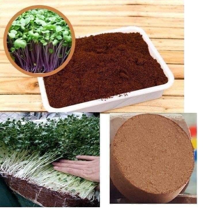 Giá thể trộn đất mụn dừa dạng nén cây 4 viên