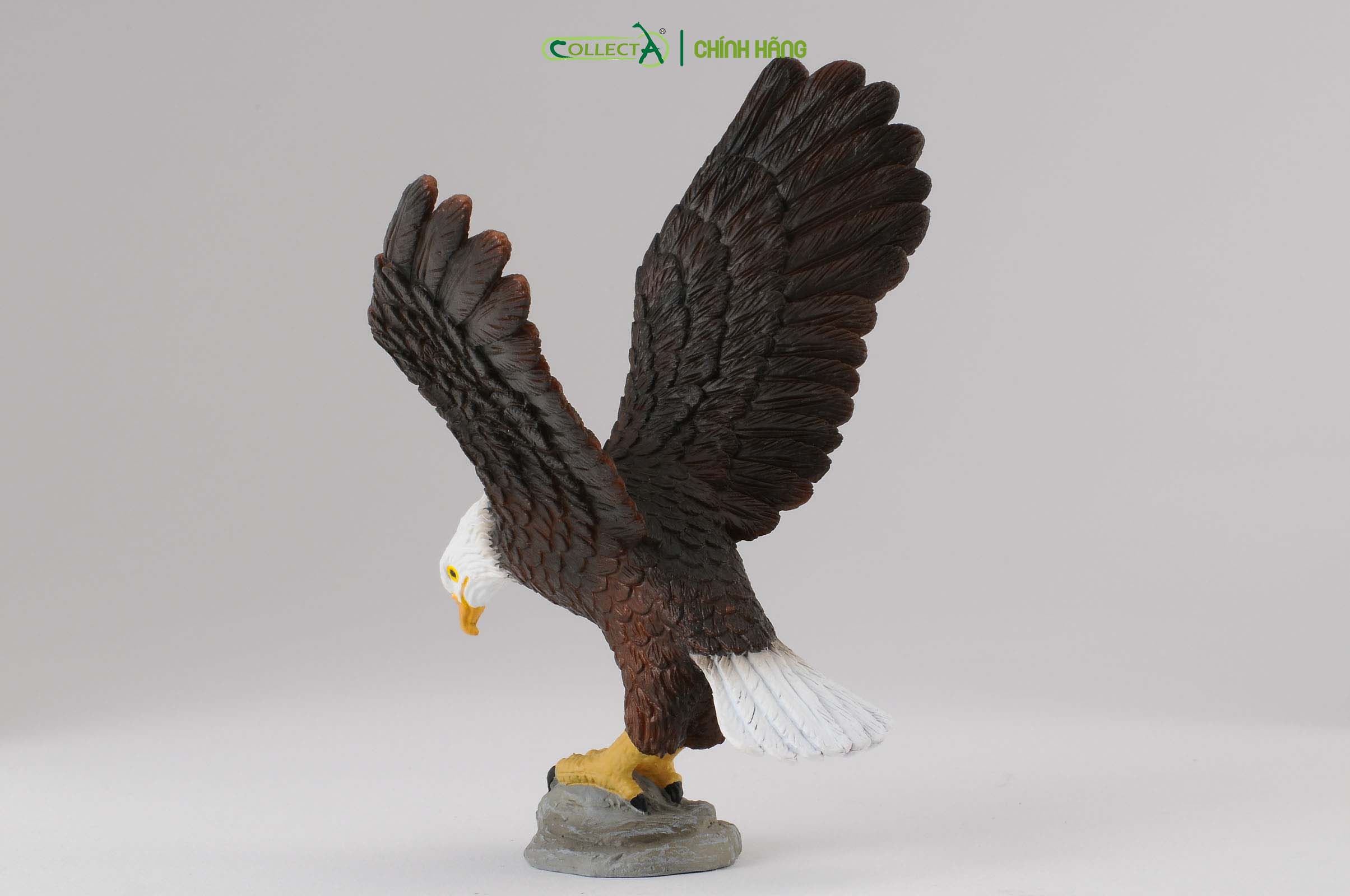 Mô hình thu nhỏ: Đại Bàng Đầu Trắng - American Bald Eagle, hiệu: CollectA, mã HS 9651440[88383] -  Chất liệu an toàn cho trẻ - Hàng chính hãng