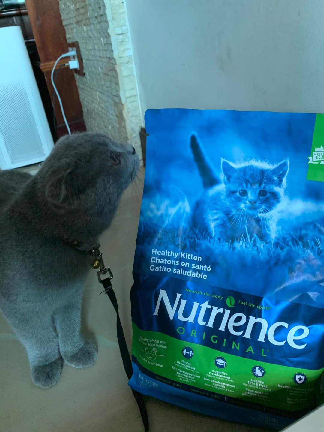 Thức Ăn Cho Mèo Ba Tư - Nutrience Original Bao 5kg - Thức Ăn Cho Mèo, Vị Thịt Gà, Dầu Cá Hồi, Rau Củ, Trái Cây Tự Nhiên