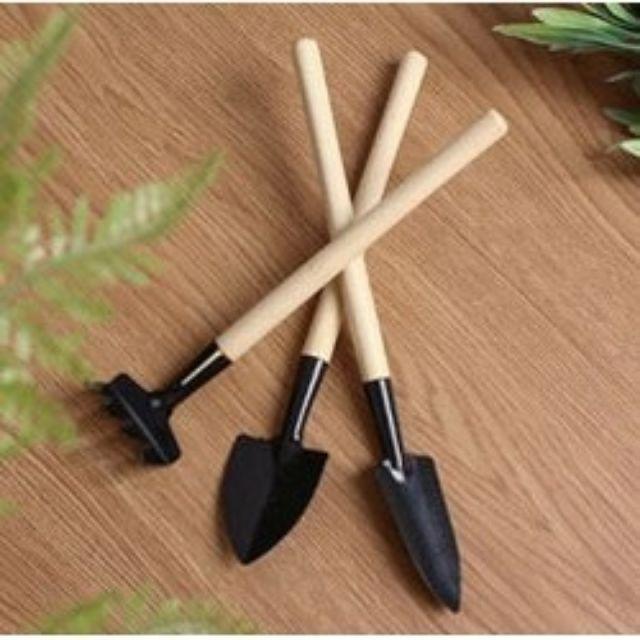 Bộ dụng cụ làm vườn mini