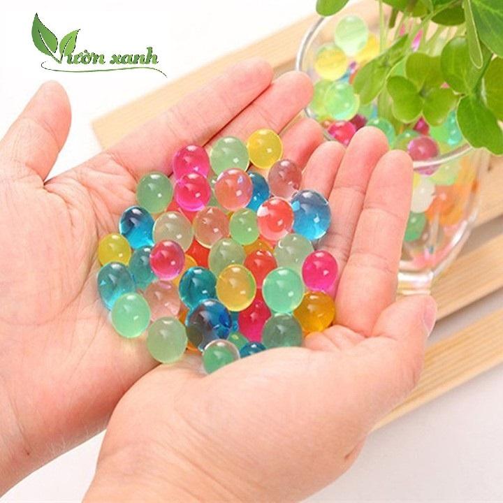 Hạt nở trồng cây thủy sinh, làm slime
