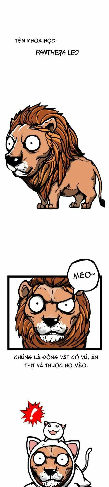 earth, human, and animal chapter 27 8