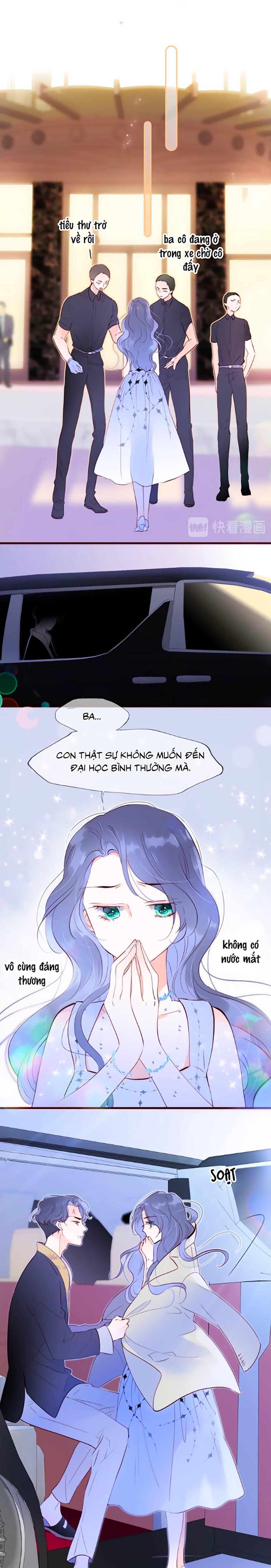 hoa bỏ chạy với nhím rồi chapter 1.2 10