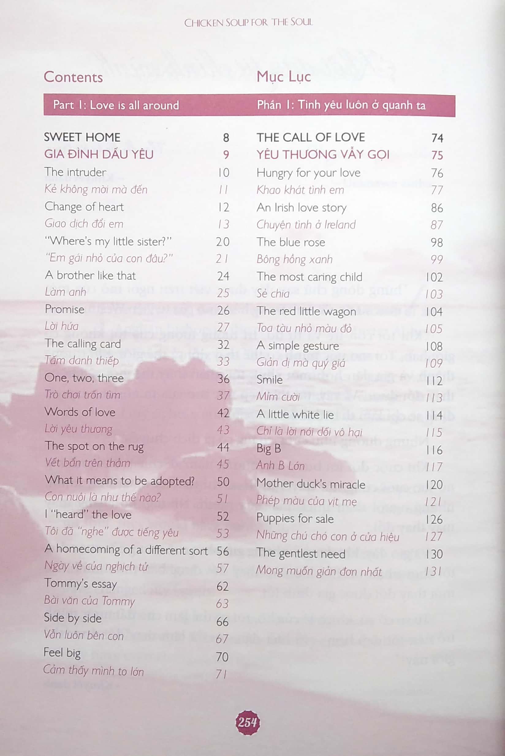 The Best Of Chicken Soup For The Soul - Tuyển Tập Những Câu Chuyện Hay Nhất