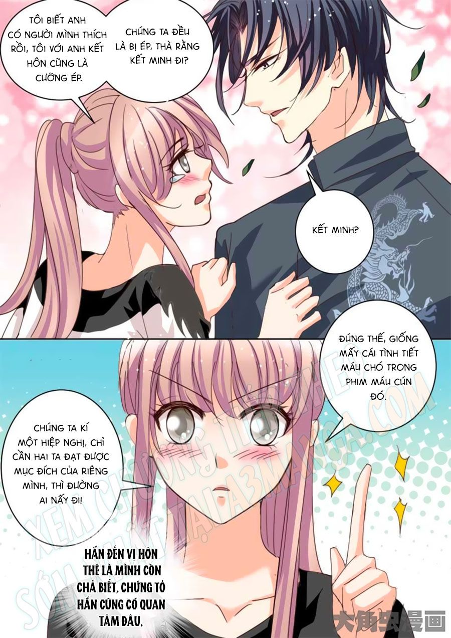 Bá Đạo Tổng Tài Yêu Ta chapter 17 - Trang 8