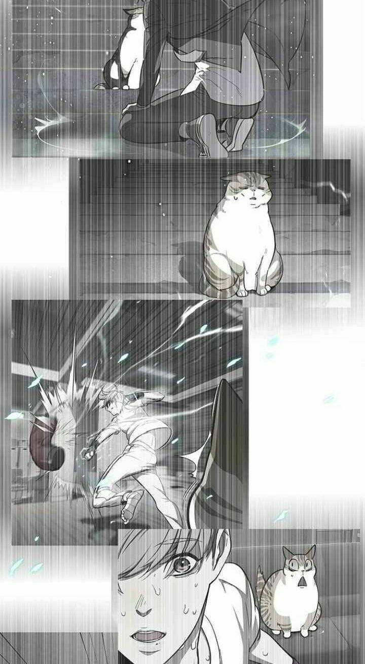 biến thân thành mèo chapter 93 36