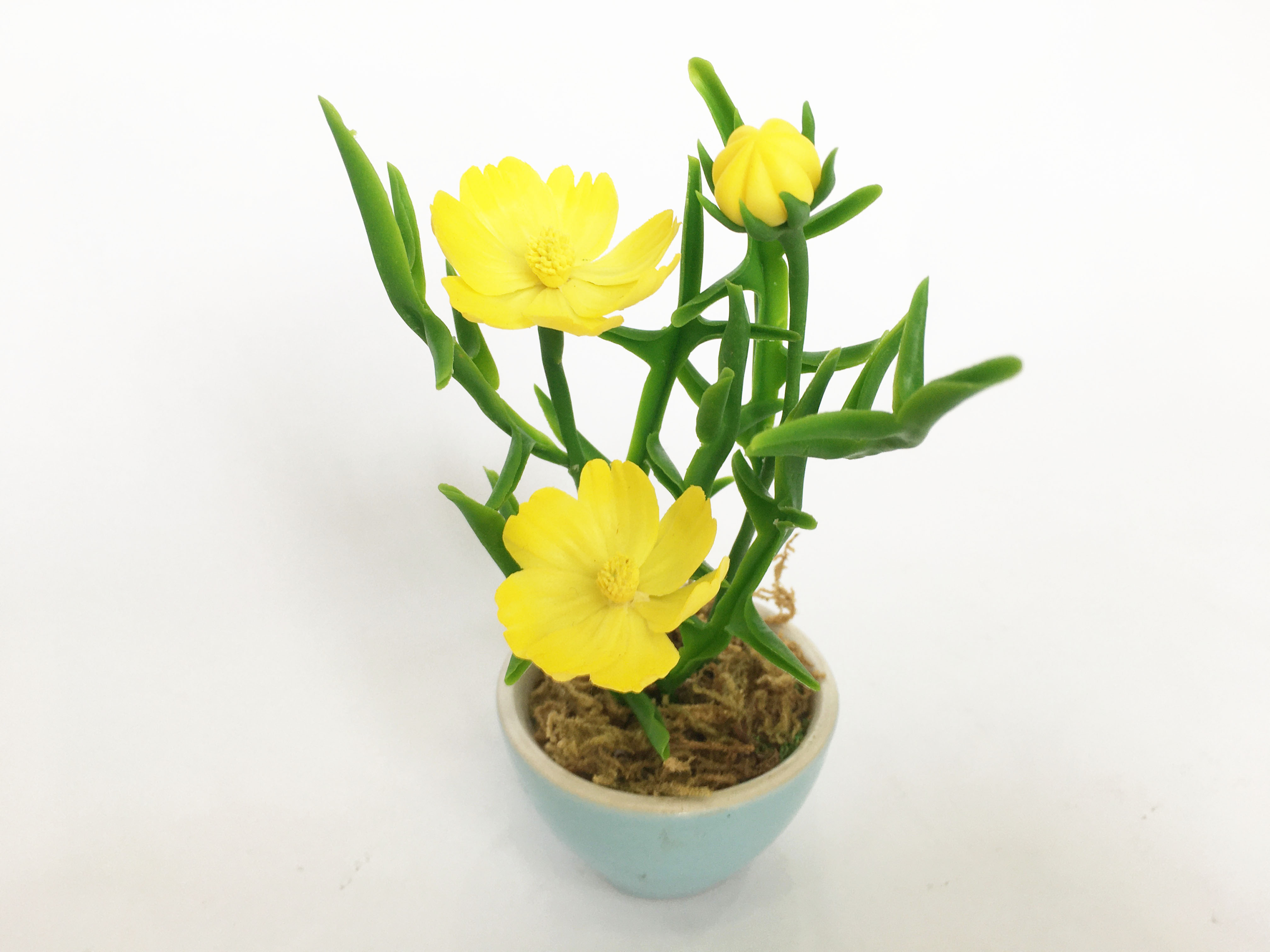 Chậu hoa đất sét mini- Bụi sao nhái trong cốc - Quà tặng trang trí handmade