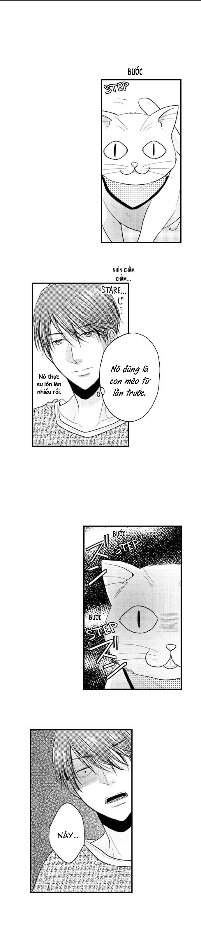 cuộc hôn nhân tình đầu chapter 6.1 3