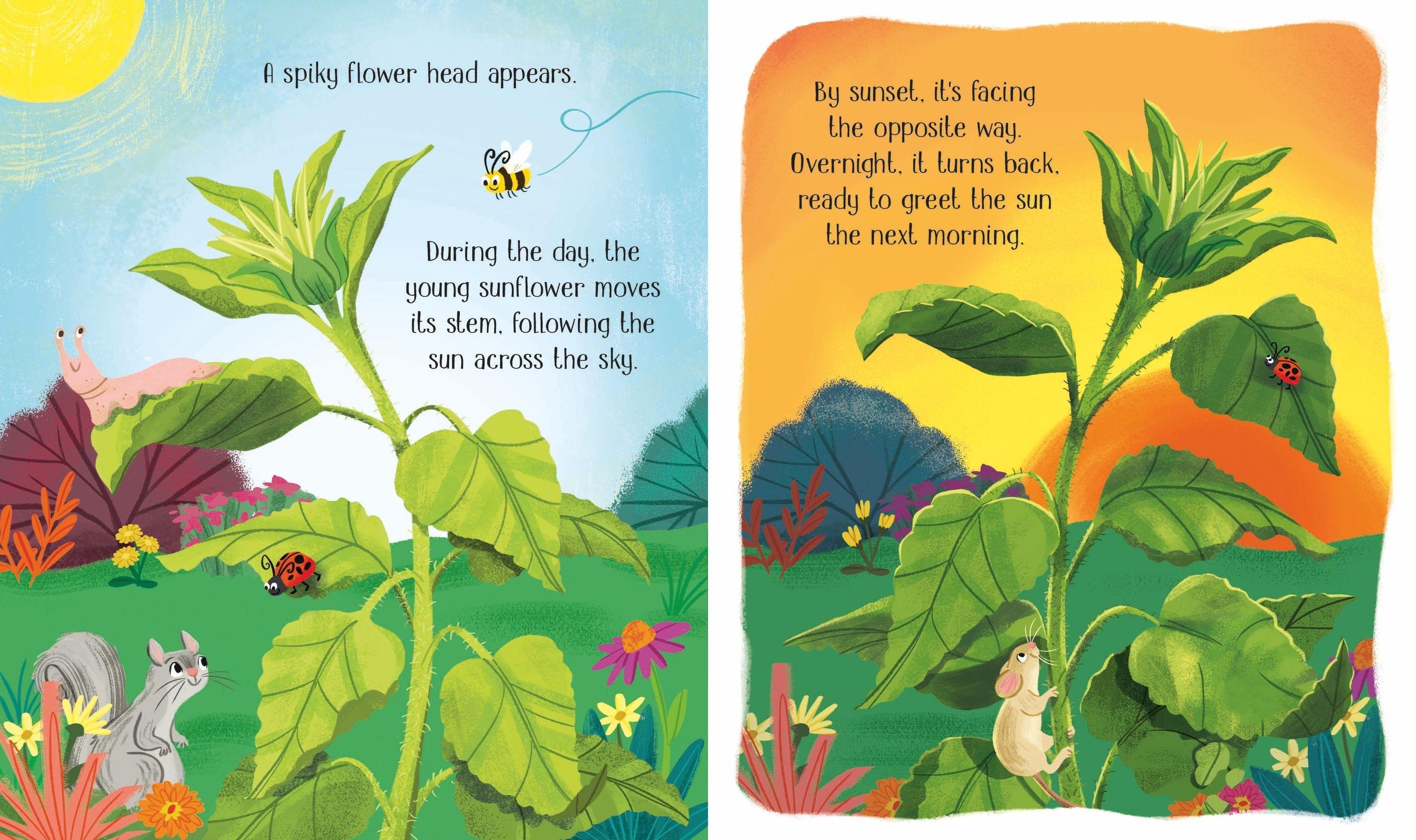 Sách ngoại văn: One Little Seed