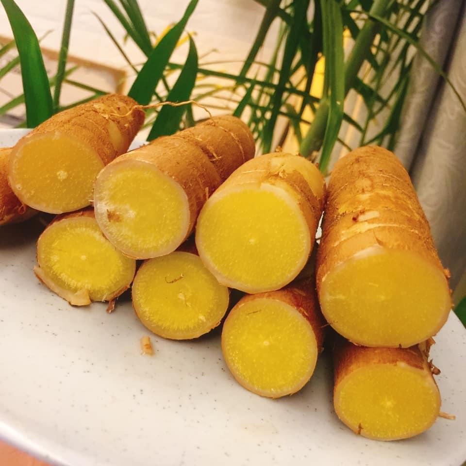 500 GRAM Hom giống Khoai Sắn ruột Vàng dẻo Thái Lan .