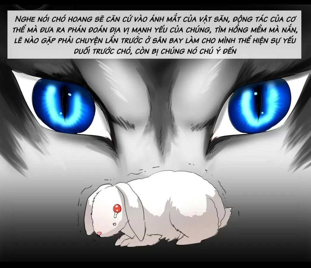 một con chó chapter 56 3