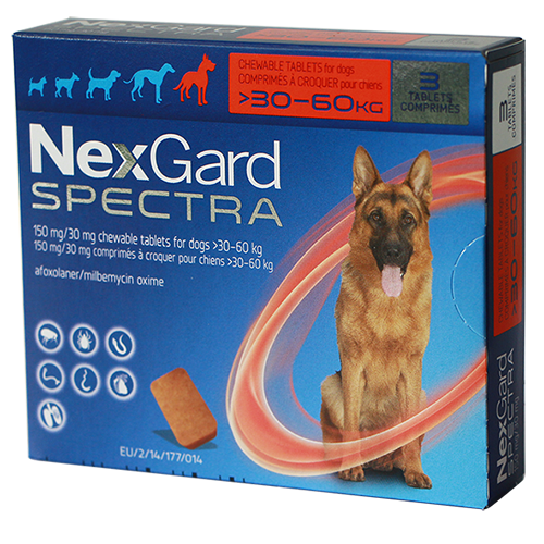 NEXGARD SPECTRA size XL cho chó từ 30.1-60 kg (8g/viên x 3 viên/hộp)