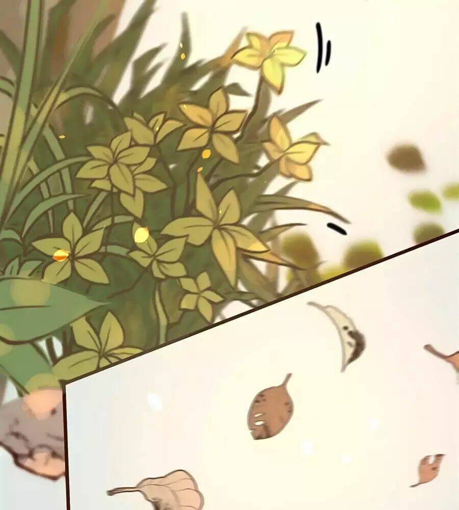 phượng hoàn triều: vương gia yêu nghiệt xin tránh đường chapter 26 32