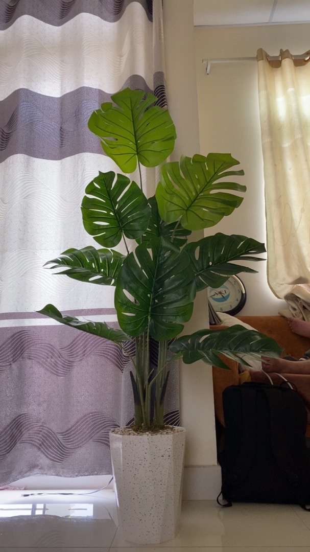 Cây giả – Cây trầu bà lá xẻ nam mỹ monstera giả – Chậu gồm 3 nhánh 18 lá – Cao 130 cm – Cây lá rùa, lá rách – Cây nội thất giả, hoa lụa trang trí decor