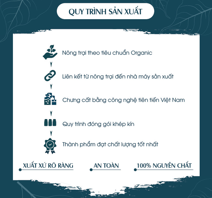 Combo 2 Tinh Dầu Sả Chanh + Tinh Dầu Vỏ Quế TIDAMO Nguyên Chất Nhập Khẩu - Tinh Dầu Xông Phòng Cao Cấp Giúp Thư Giãn, Thơm Phòng, Bảo Vệ Sức Khỏe và Đuổi Muỗi (2 chai 10ML)