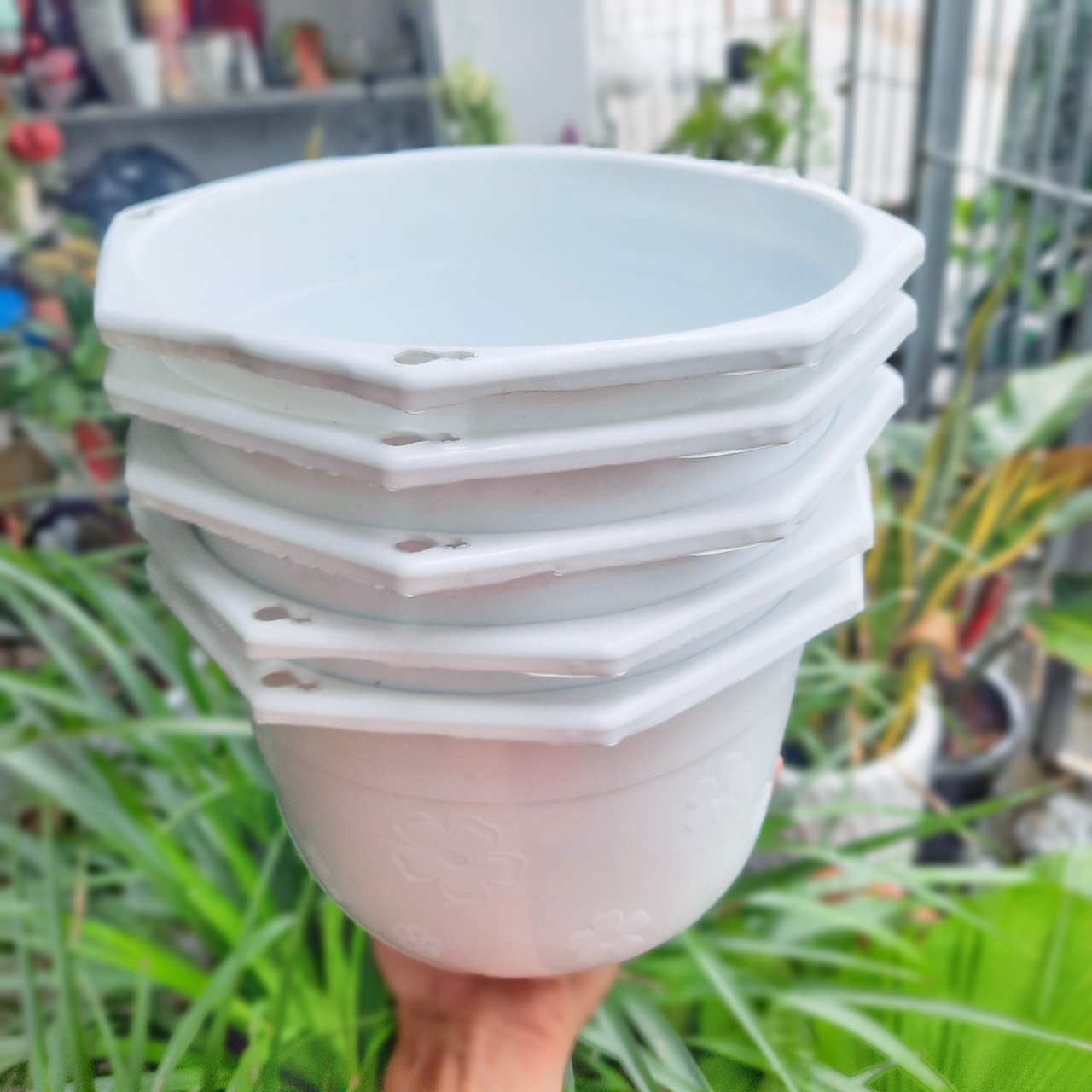 Chậu Nhựa TREO 2 size xinh xắn