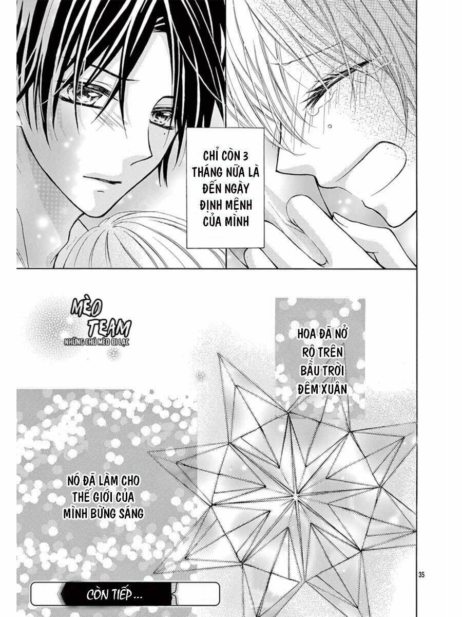 tớ muốn xem pháo hoa cậu làm chapter 1 40