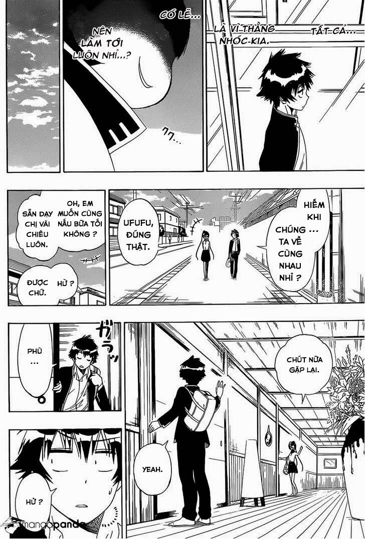 nisekoi - tình yêu giả tạo chapter 148 9
