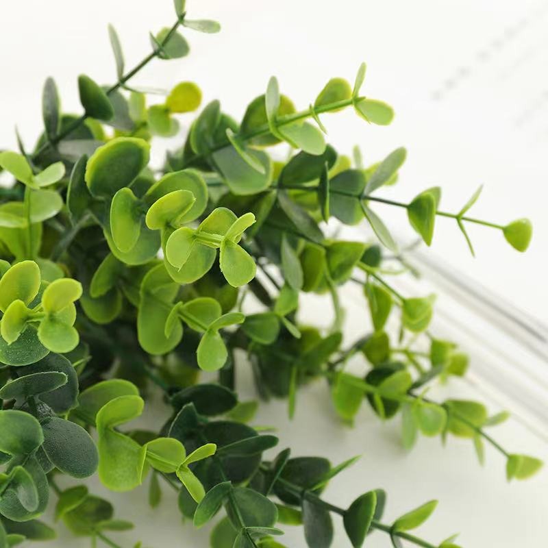 Cụm tai chuột thường